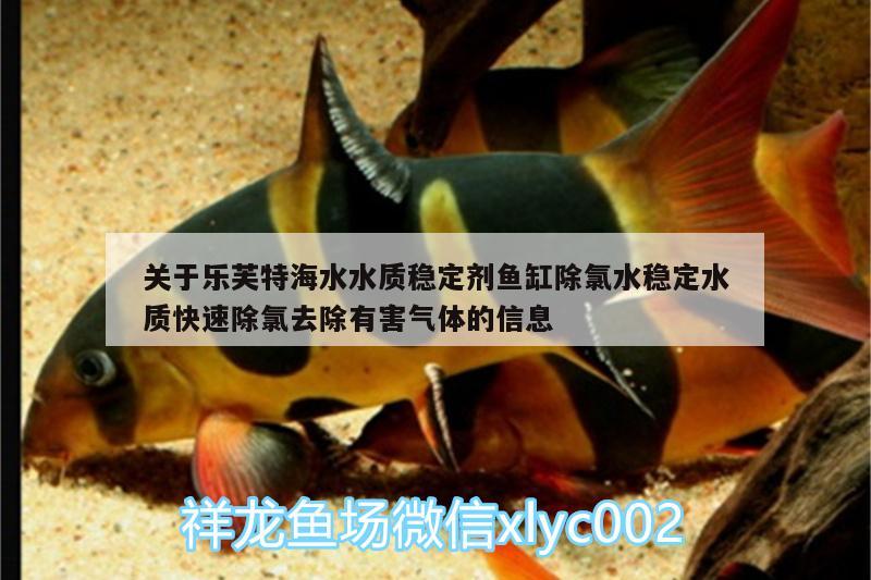 關(guān)于樂(lè)芙特海水水質(zhì)穩(wěn)定劑魚(yú)缸除氯水穩(wěn)定水質(zhì)快速除氯去除有害氣體的信息 廣州水族器材濾材批發(fā)市場(chǎng)