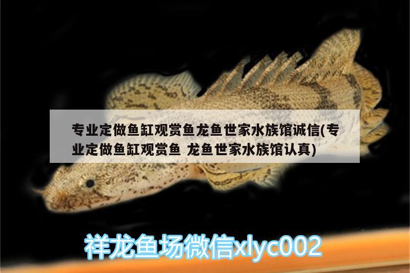 專業(yè)定做魚缸觀賞魚龍魚世家水族館誠(chéng)信(專業(yè)定做魚缸觀賞魚龍魚世家水族館認(rèn)真) 圣菲埃及魚