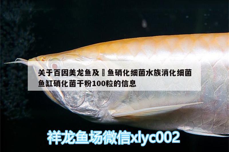 關(guān)于百因美龍魚及魟魚硝化細(xì)菌水族消化細(xì)菌魚缸硝化菌干粉100粒的信息