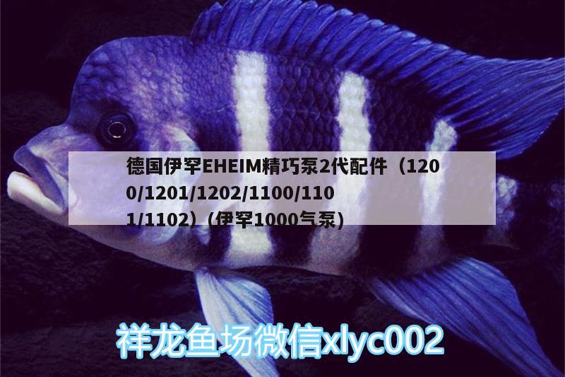 德國伊罕EHEIM精巧泵2代配件（1200/1201/1202/1100/1101/1102）(伊罕1000氣泵) 伊罕水族