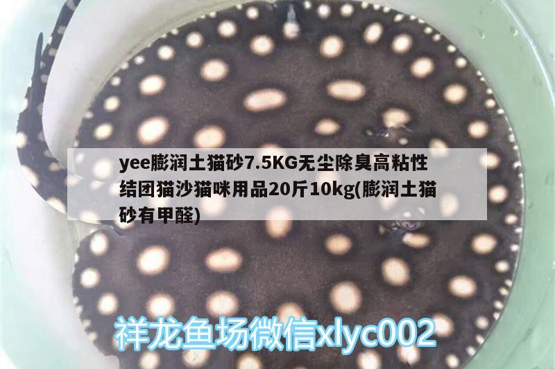 yee膨潤土貓砂7.5KG無塵除臭高粘性結(jié)團(tuán)貓沙貓咪用品20斤10kg(膨潤土貓砂有甲醛)