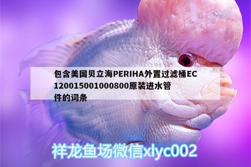 包含美國貝立海PERIHA外置過濾桶EC120015001000800原裝進水管件的詞條