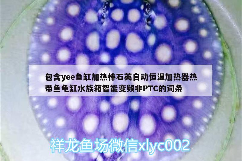 包含yee魚缸加熱棒石英自動恒溫加熱器熱帶魚龜缸水族箱智能變頻非PTC的詞條