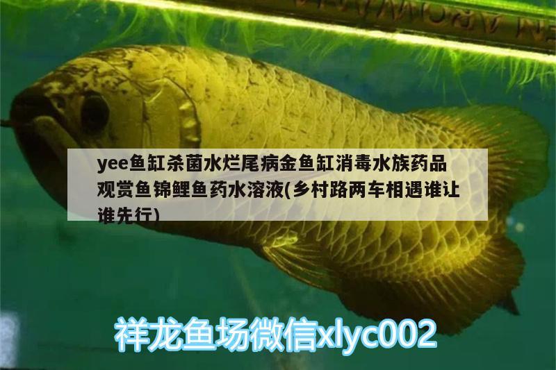 yee魚缸殺菌水爛尾病金魚缸消毒水族藥品觀賞魚錦鯉魚藥水溶液(鄉(xiāng)村路兩車相遇誰(shuí)讓誰(shuí)先行)