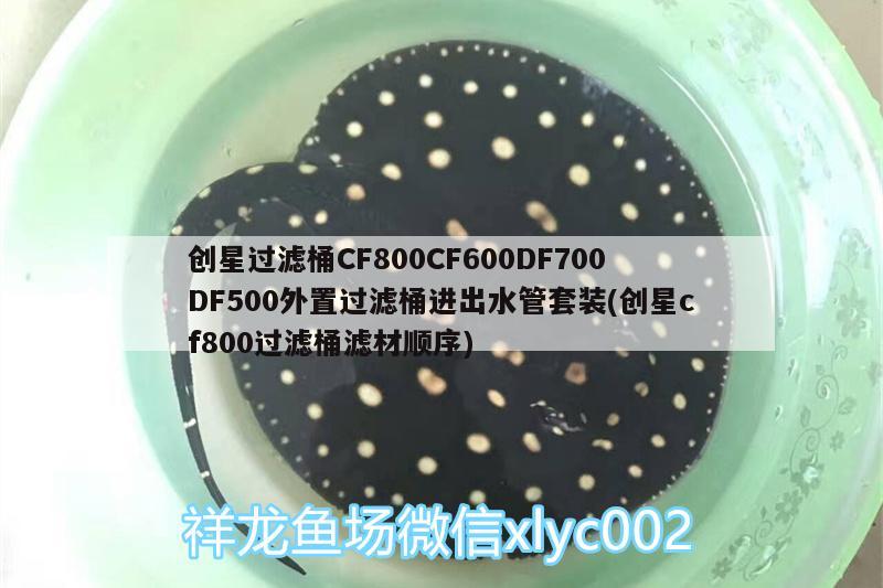 創(chuàng)星過濾桶CF800CF600DF700DF500外置過濾桶進出水管套裝(創(chuàng)星cf800過濾桶濾材順序) 廣州水族器材濾材批發(fā)市場