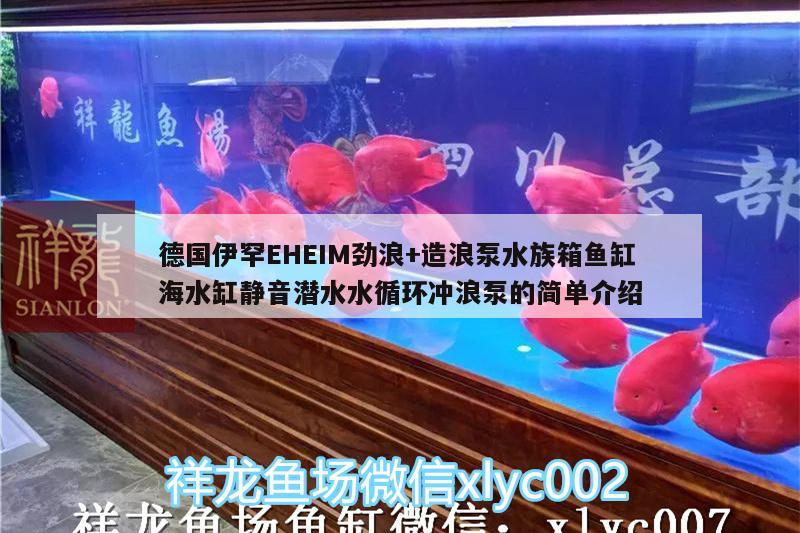 德國(guó)伊罕EHEIM勁浪+造浪泵水族箱魚缸海水缸靜音潛水水循環(huán)沖浪泵的簡(jiǎn)單介紹