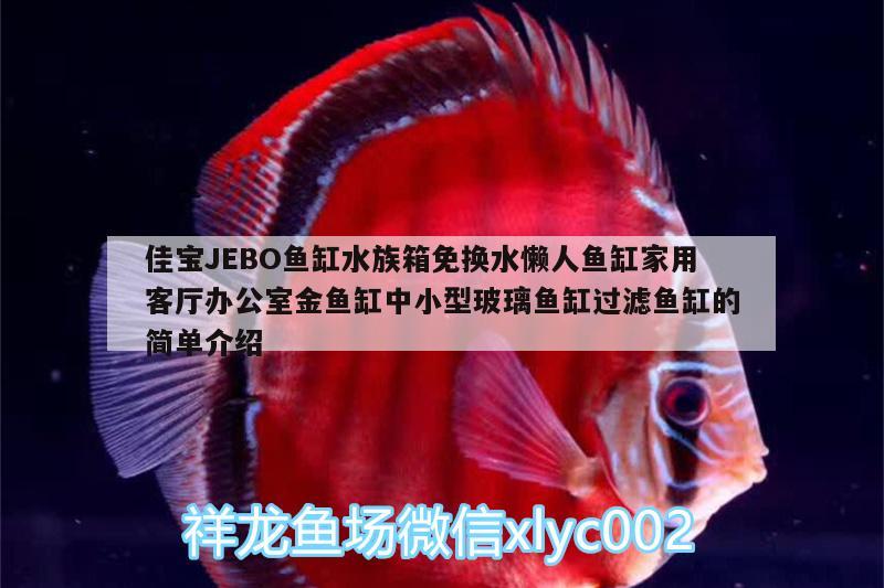 佳寶JEBO魚缸水族箱免換水懶人魚缸家用客廳辦公室金魚缸中小型玻璃魚缸過(guò)濾魚缸的簡(jiǎn)單介紹