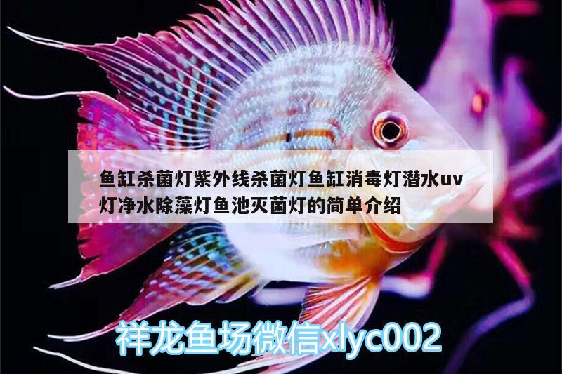 魚缸殺菌燈紫外線殺菌燈魚缸消毒燈潛水uv燈凈水除藻燈魚池滅菌燈的簡單介紹