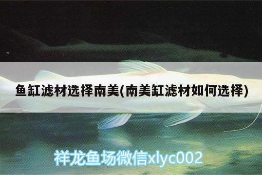 魚(yú)缸濾材選擇南美(南美缸濾材如何選擇)