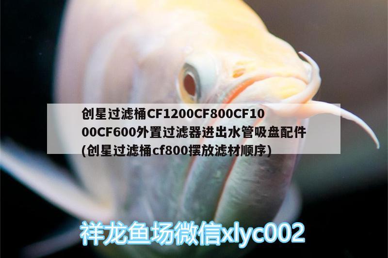 創(chuàng)星過濾桶CF1200CF800CF1000CF600外置過濾器進出水管吸盤配件(創(chuàng)星過濾桶cf800擺放濾材順序)