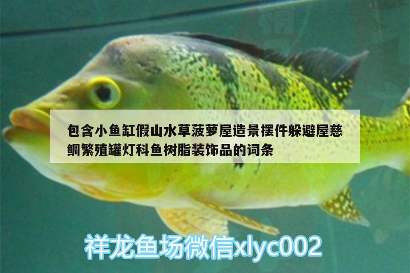 包含小魚缸假山水草菠蘿屋造景擺件躲避屋慈鯛繁殖罐燈科魚樹脂裝飾品的詞條 水草