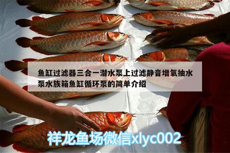 魚缸過濾器三合一潛水泵上過濾靜音增氧抽水泵水族箱魚缸循環(huán)泵的簡(jiǎn)單介紹 魚缸/水族箱