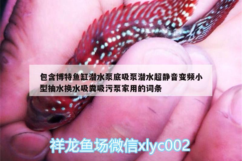 包含博特魚(yú)缸潛水泵底吸泵潛水超靜音變頻小型抽水換水吸糞吸污泵家用的詞條 博特水族