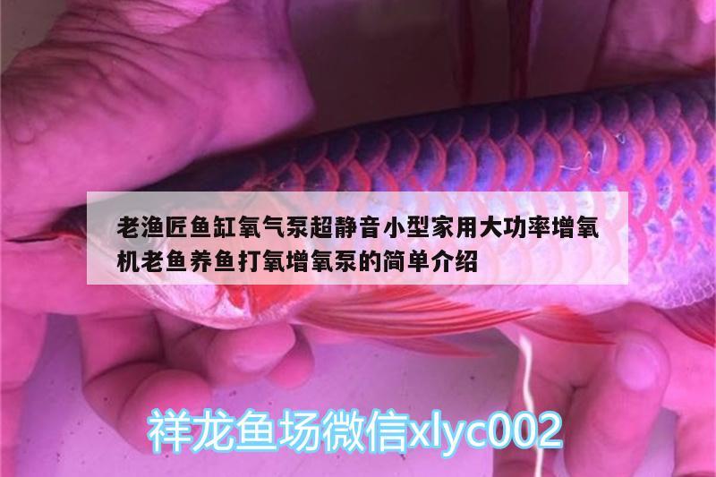 老漁匠魚缸氧氣泵超靜音小型家用大功率增氧機老魚養(yǎng)魚打氧增氧泵的簡單介紹 廣州水族器材濾材批發(fā)市場