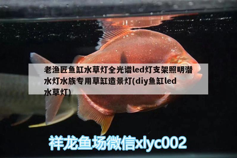 老漁匠魚缸水草燈全光譜led燈支架照明潛水燈水族專用草缸造景燈(diy魚缸led水草燈)