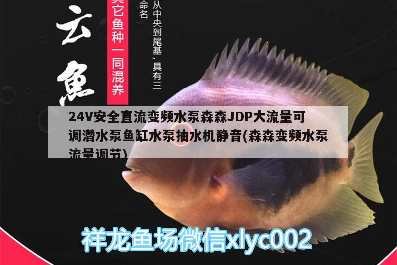 24V安全直流變頻水泵森森JDP大流量可調(diào)潛水泵魚缸水泵抽水機(jī)靜音(森森變頻水泵流量調(diào)節(jié))