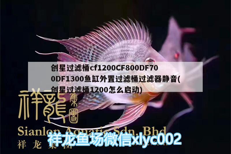 創(chuàng)星過(guò)濾桶cf1200CF800DF700DF1300魚缸外置過(guò)濾桶過(guò)濾器靜音(創(chuàng)星過(guò)濾桶1200怎么啟動(dòng)) 廣州水族器材濾材批發(fā)市場(chǎng)