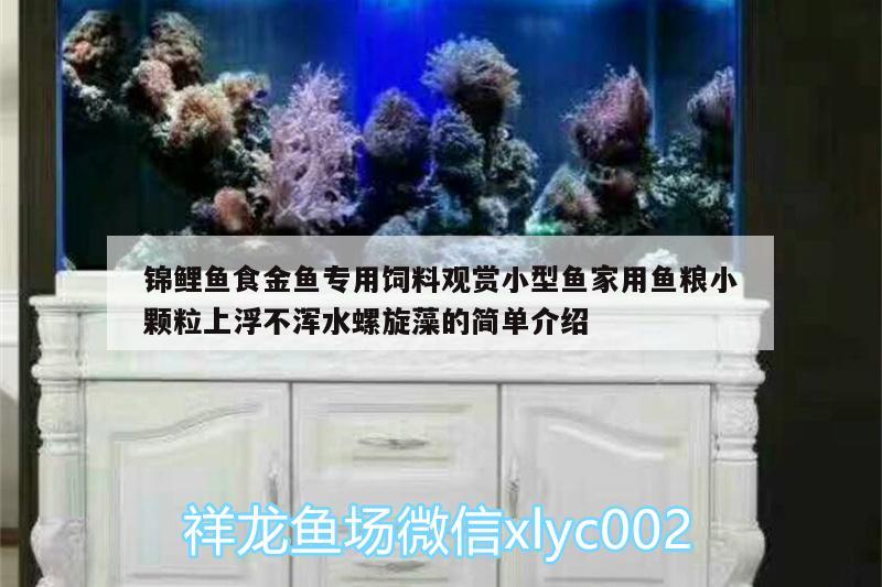 錦鯉魚食金魚專用飼料觀賞小型魚家用魚糧小顆粒上浮不渾水螺旋藻的簡單介紹 廣州水族器材濾材批發(fā)市場