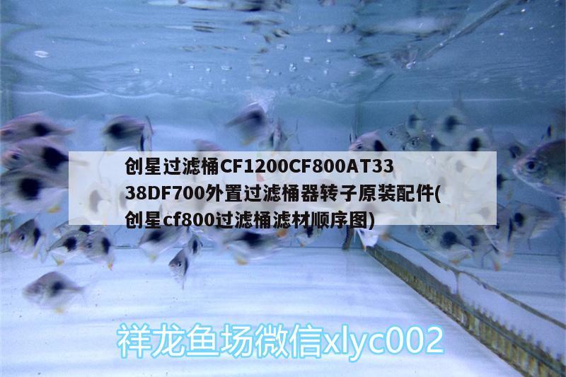 創(chuàng)星過濾桶CF1200CF800AT3338DF700外置過濾桶器轉(zhuǎn)子原裝配件(創(chuàng)星cf800過濾桶濾材順序圖) 廣州水族器材濾材批發(fā)市場