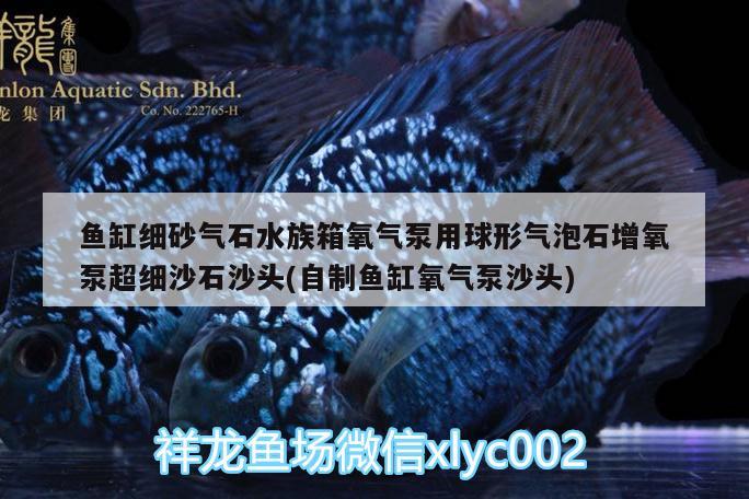 魚(yú)缸細(xì)砂氣石水族箱氧氣泵用球形氣泡石增氧泵超細(xì)沙石沙頭(自制魚(yú)缸氧氣泵沙頭) 魚(yú)缸/水族箱