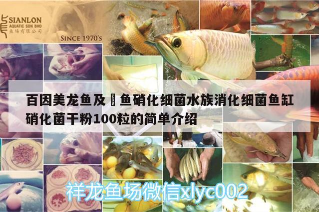 百因美龍魚及魟魚硝化細(xì)菌水族消化細(xì)菌魚缸硝化菌干粉100粒的簡(jiǎn)單介紹