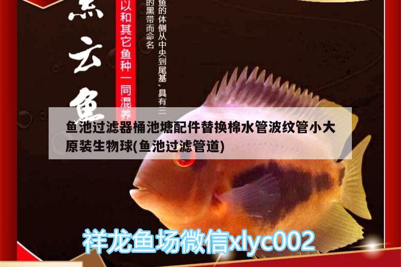 魚池過濾器桶池塘配件替換棉水管波紋管小大原裝生物球(魚池過濾管道) 廣州水族器材濾材批發(fā)市場