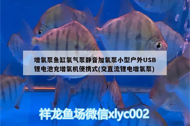 增氧泵魚缸氧氣泵靜音加氧泵小型戶外USB鋰電池充增氧機便攜式(交直流鋰電增氧泵) 廣州水族器材濾材批發(fā)市場