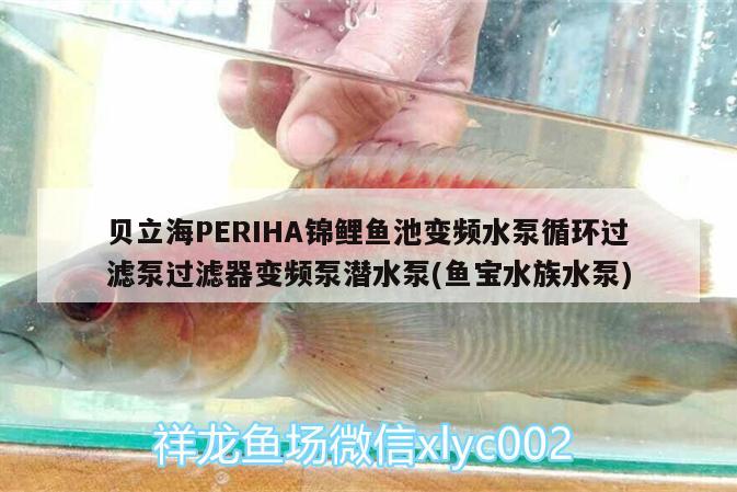 貝立海PERIHA錦鯉魚池變頻水泵循環(huán)過濾泵過濾器變頻泵潛水泵(魚寶水族水泵) 垂釣樂園