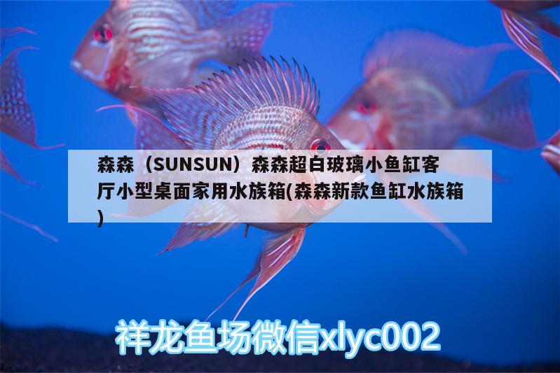 森森（SUNSUN）森森超白玻璃小魚缸客廳小型桌面家用水族箱(森森新款魚缸水族箱)