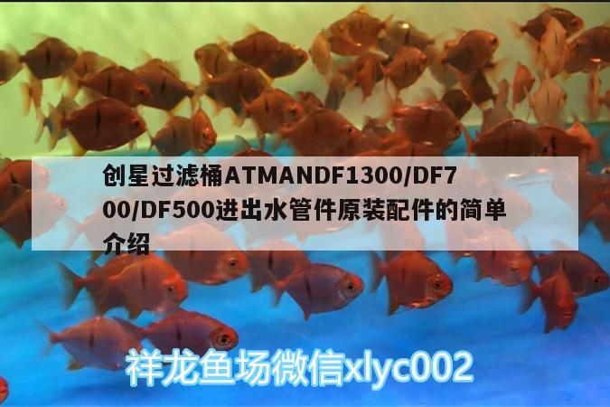 創(chuàng)星過(guò)濾桶ATMANDF1300/DF700/DF500進(jìn)出水管件原裝配件的簡(jiǎn)單介紹