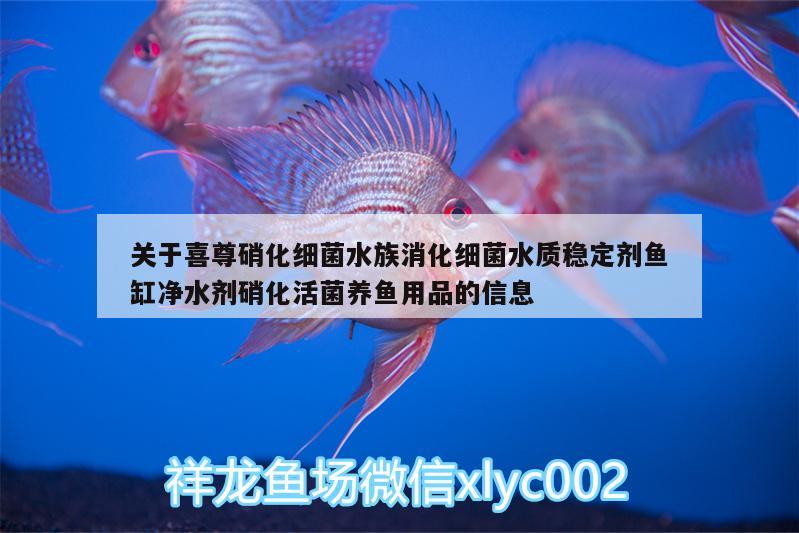 關于喜尊硝化細菌水族消化細菌水質(zhì)穩(wěn)定劑魚缸凈水劑硝化活菌養(yǎng)魚用品的信息 硝化細菌