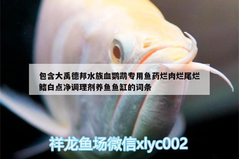 包含大禹德邦水族血鸚鵡專用魚藥爛肉爛尾爛鰭白點(diǎn)凈調(diào)理劑養(yǎng)魚魚缸的詞條