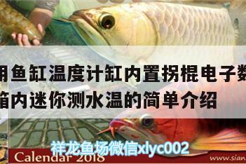 水族專用魚缸溫度計(jì)缸內(nèi)置拐棍電子數(shù)顯高精度水族箱內(nèi)迷你測(cè)水溫的簡(jiǎn)單介紹 魚缸/水族箱