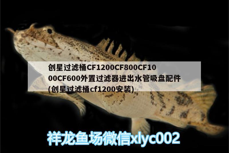 創(chuàng)星過濾桶CF1200CF800CF1000CF600外置過濾器進出水管吸盤配件(創(chuàng)星過濾桶cf1200安裝) 廣州水族器材濾材批發(fā)市場