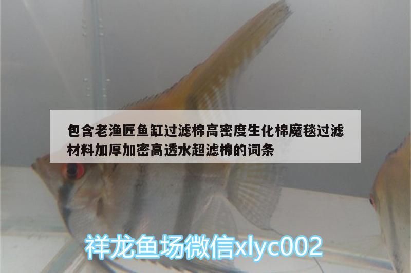 包含老漁匠魚缸過濾棉高密度生化棉魔毯過濾材料加厚加密高透水超濾棉的詞條