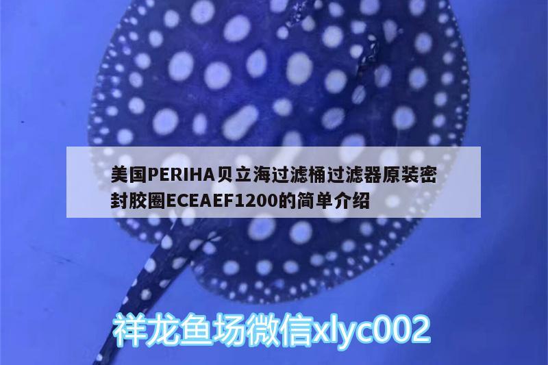 美國PERIHA貝立海過濾桶過濾器原裝密封膠圈ECEAEF1200的簡單介紹 垂釣樂園