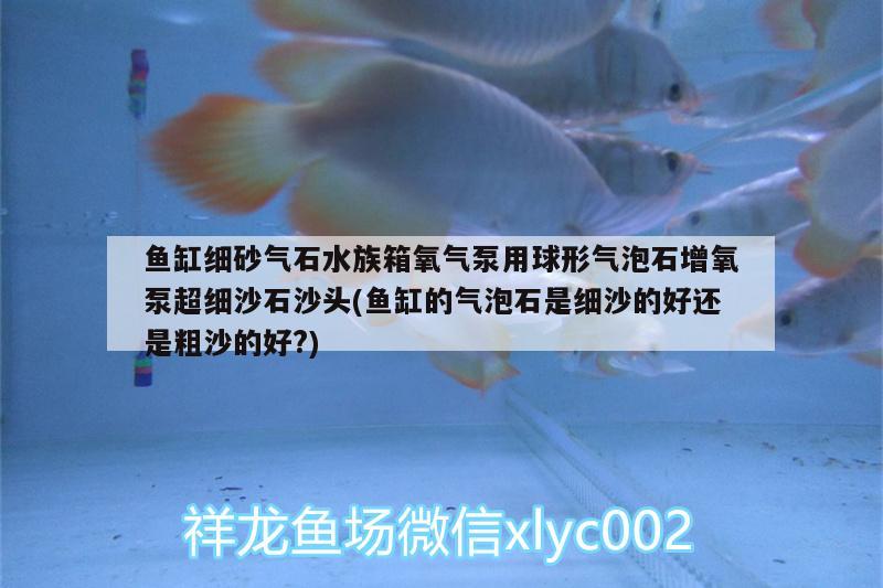 魚缸細砂氣石水族箱氧氣泵用球形氣泡石增氧泵超細沙石沙頭(魚缸的氣泡石是細沙的好還是粗沙的好?)