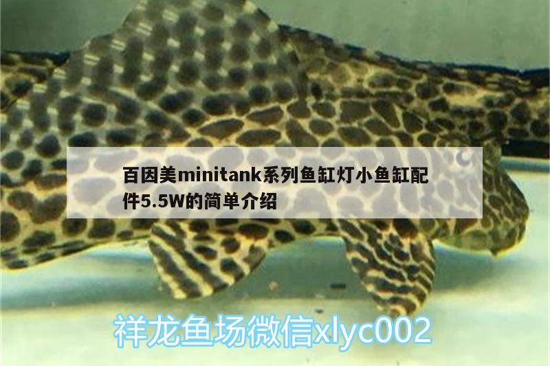 百因美m(xù)initank系列魚缸燈小魚缸配件5.5W的簡單介紹