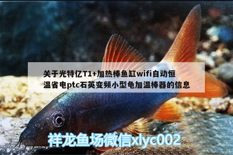 關于光特億T1+加熱棒魚缸wifi自動恒溫省電ptc石英變頻小型龜加溫棒器的信息