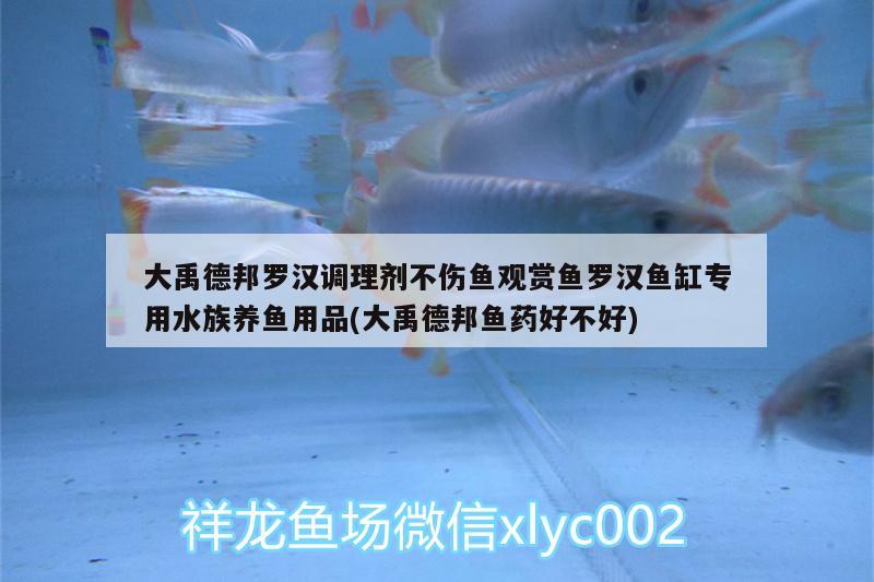 大禹德邦羅漢調(diào)理劑不傷魚觀賞魚羅漢魚缸專用水族養(yǎng)魚用品(大禹德邦魚藥好不好) 羅漢魚