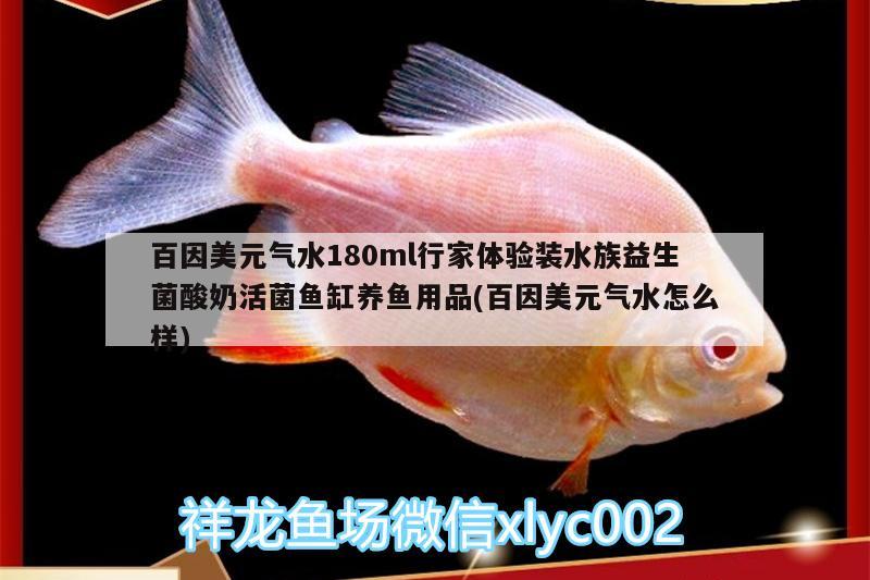 百因美元氣水180ml行家體驗裝水族益生菌酸奶活菌魚缸養(yǎng)魚用品(百因美元氣水怎么樣)