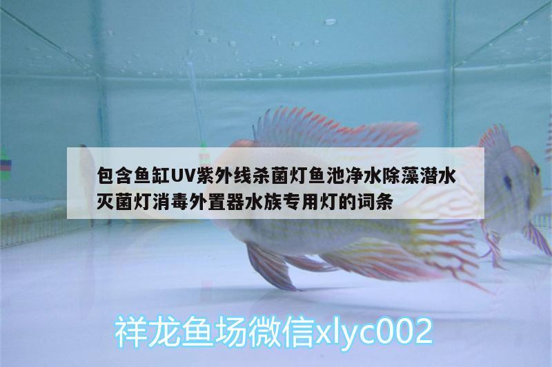 包含魚缸UV紫外線殺菌燈魚池凈水除藻潛水滅菌燈消毒外置器水族專用燈的詞條