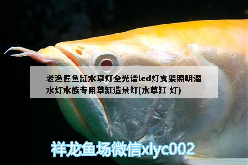 老漁匠魚缸水草燈全光譜led燈支架照明潛水燈水族專用草缸造景燈(水草缸燈)