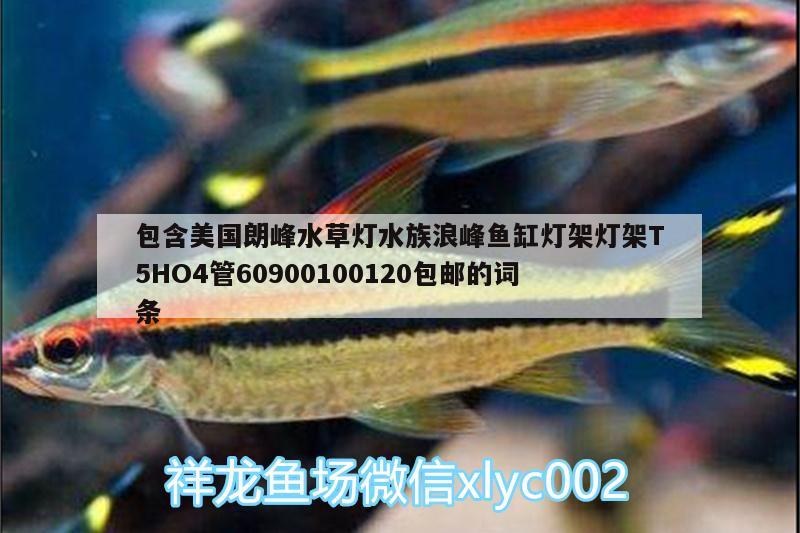 包含美國朗峰水草燈水族浪峰魚缸燈架燈架T5HO4管60900100120包郵的詞條 水草