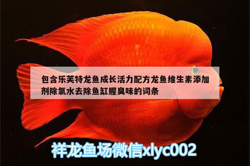 包含樂芙特龍魚成長活力配方龍魚維生素添加劑除氯水去除魚缸腥臭味的詞條