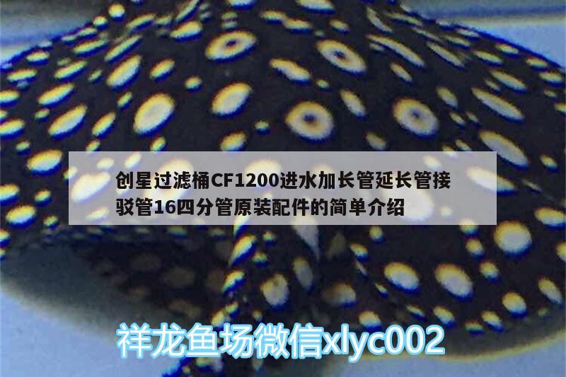 創(chuàng)星過濾桶CF1200進水加長管延長管接駁管16四分管原裝配件的簡單介紹