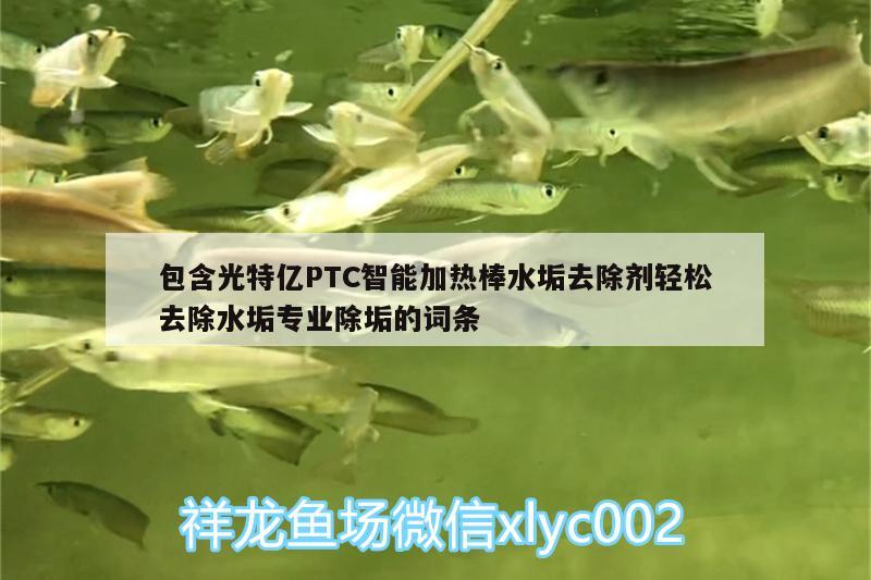 包含光特億PTC智能加熱棒水垢去除劑輕松去除水垢專業(yè)除垢的詞條 光特億