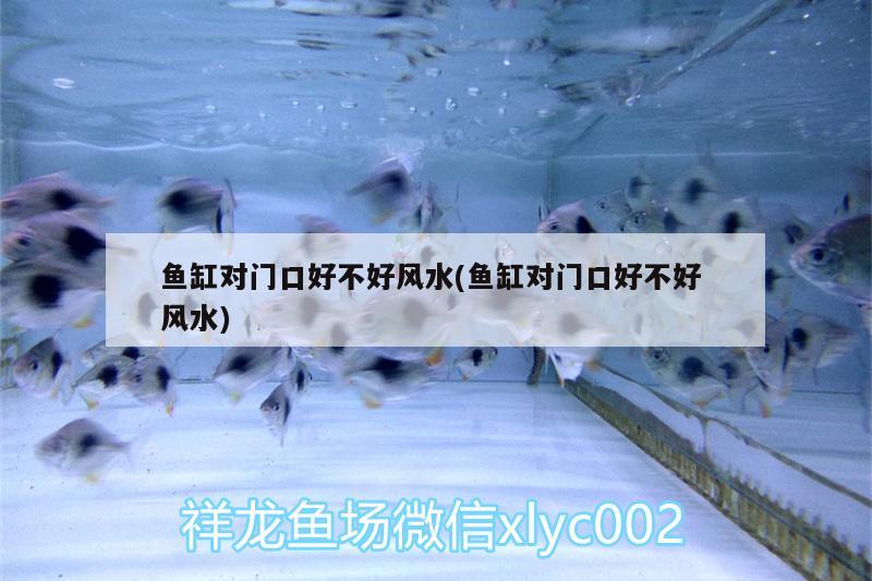 魚(yú)缸對(duì)門(mén)口好不好風(fēng)水(魚(yú)缸對(duì)門(mén)口好不好風(fēng)水)