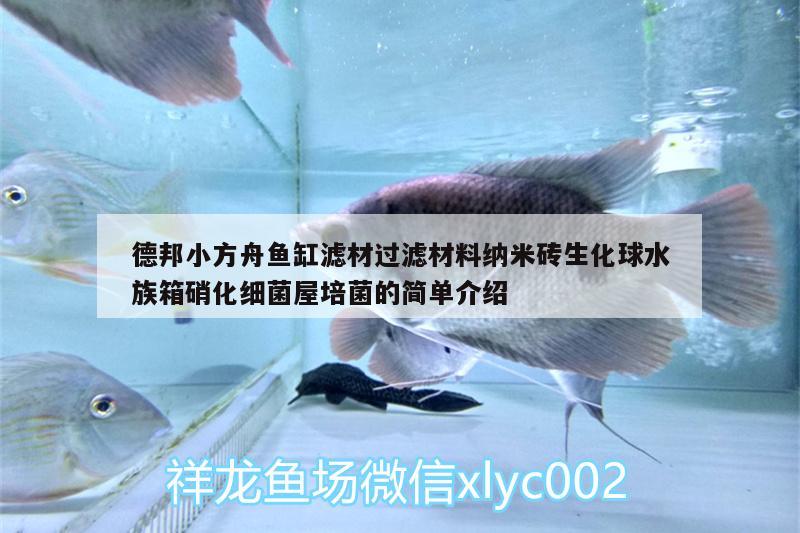 德邦小方舟魚缸濾材過濾材料納米磚生化球水族箱硝化細(xì)菌屋培菌的簡單介紹 硝化細(xì)菌