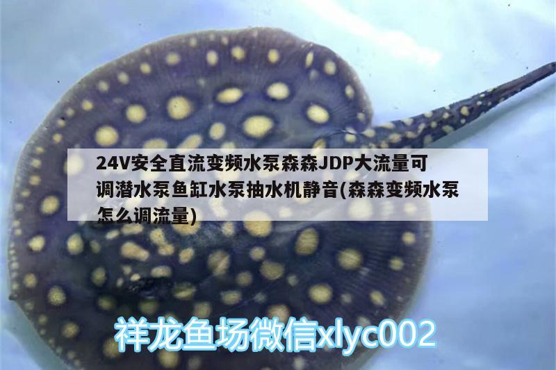 24V安全直流變頻水泵森森JDP大流量可調(diào)潛水泵魚缸水泵抽水機(jī)靜音(森森變頻水泵怎么調(diào)流量)